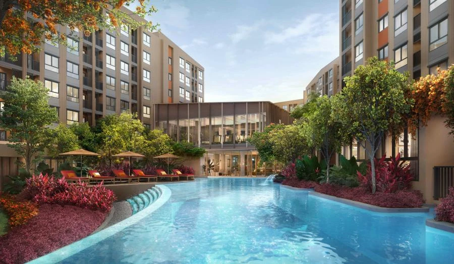 Dcondo Cove
