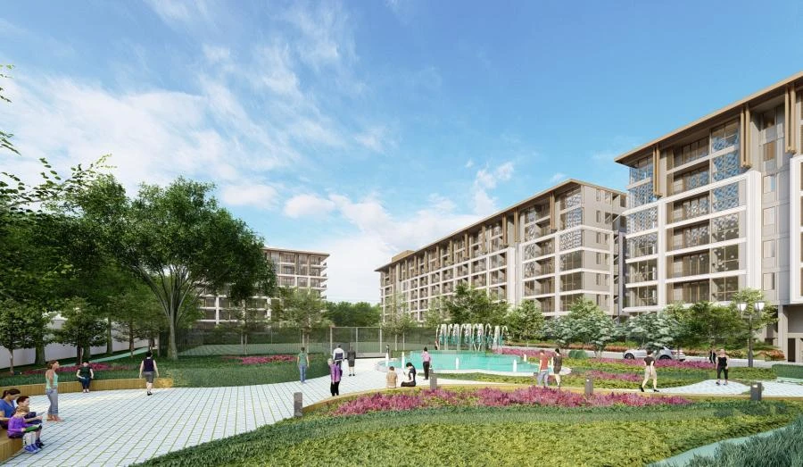 Ozone Oasis