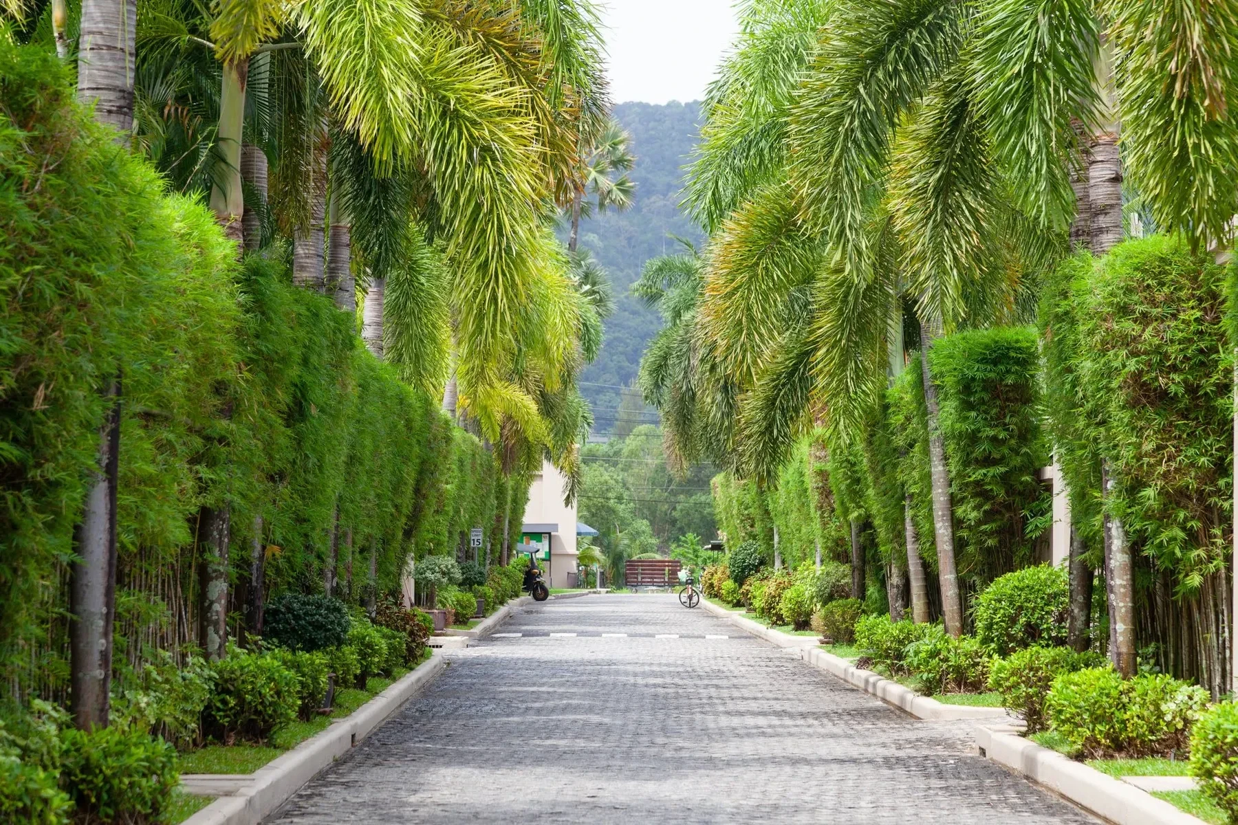 The Residence Resort Phuket