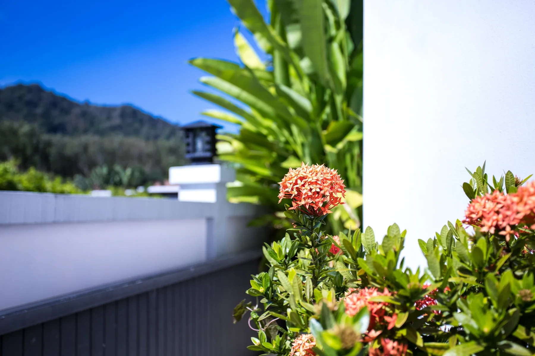 The Greens Phuket