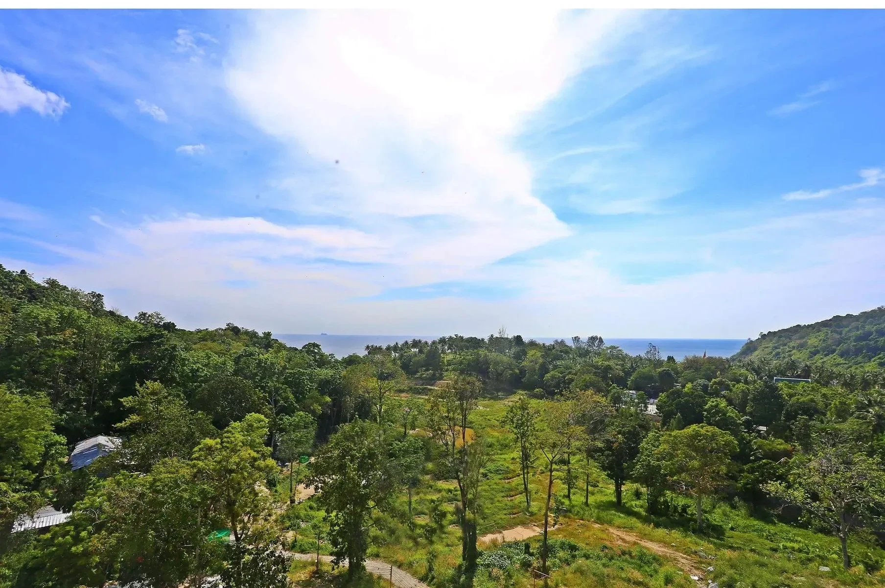 Viva Patong
